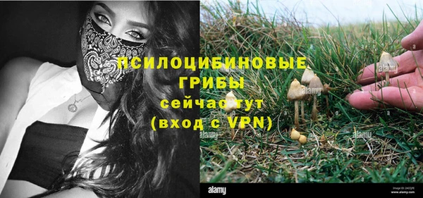 марихуана Горно-Алтайск